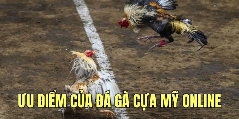 Các ưu điểm nổi bật của hình thức đá gà Mỹ online